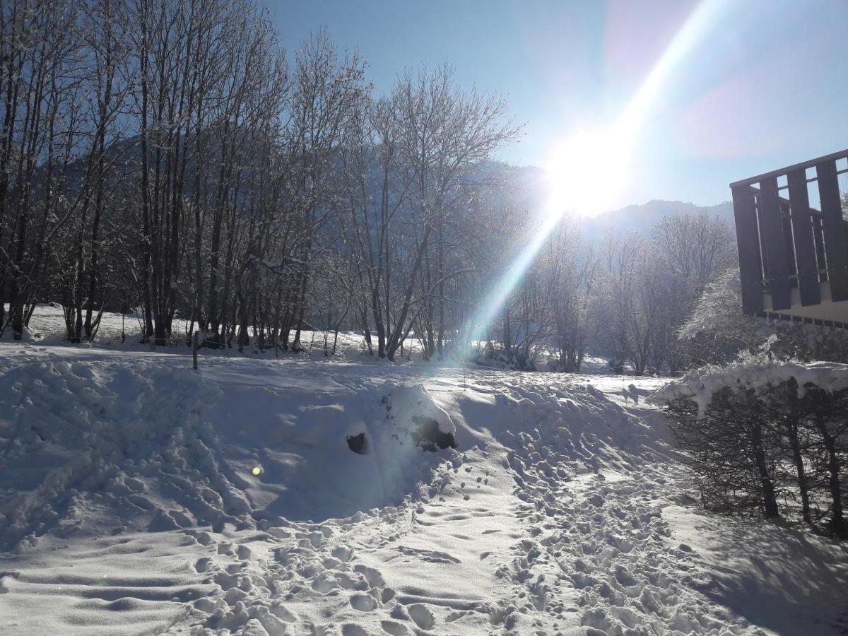 Plein Sud, Wifi, Parking Apartment