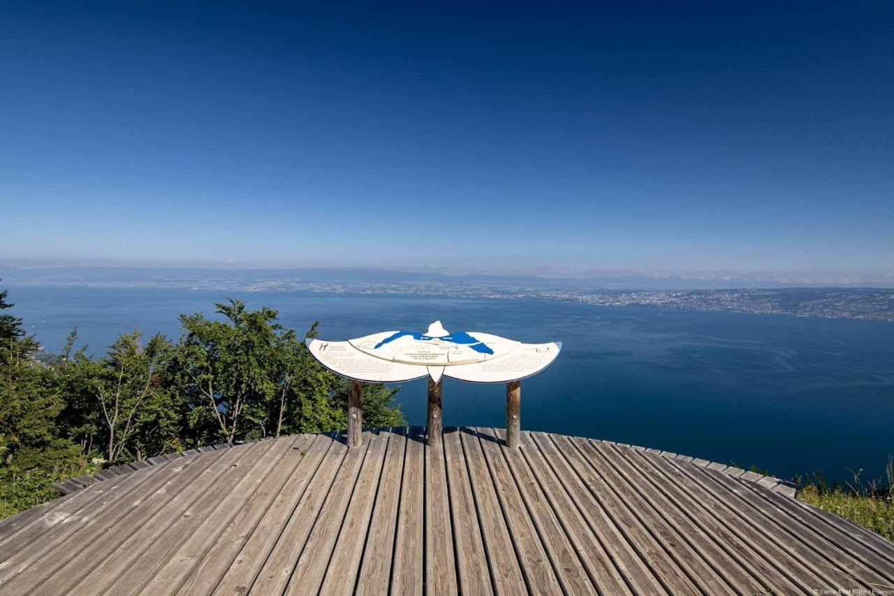Plein Sud, Wifi, Parking Apartment